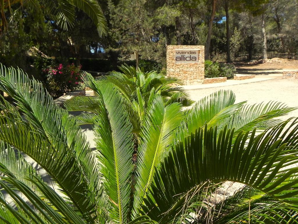 Viviendas Turisticas Vacacionales Allida Playa Migjorn Luaran gambar