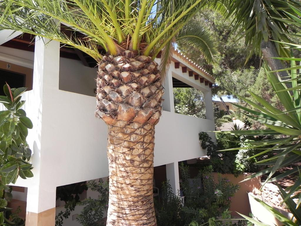Viviendas Turisticas Vacacionales Allida Playa Migjorn Luaran gambar
